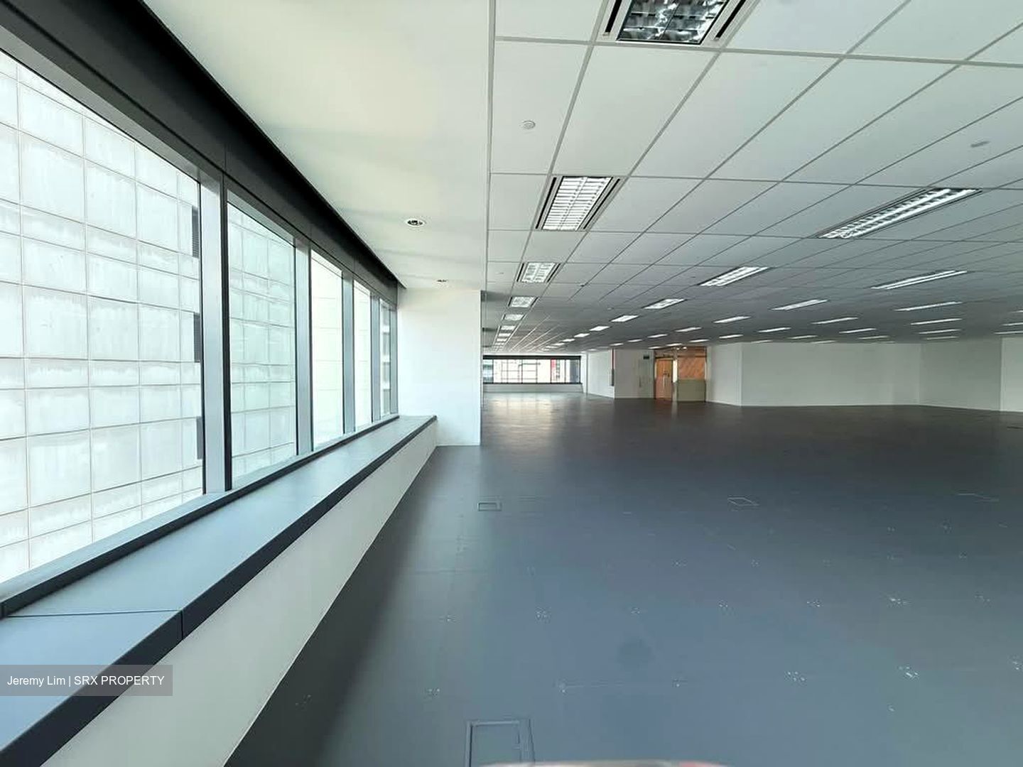MYP Centre (D1), Office #556568811